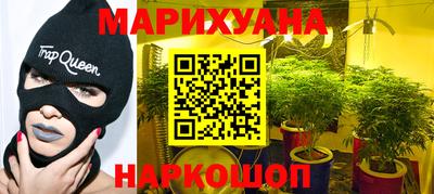 гашик Будённовск