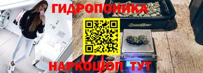 гашик Будённовск