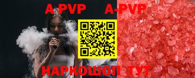 гашик Будённовск