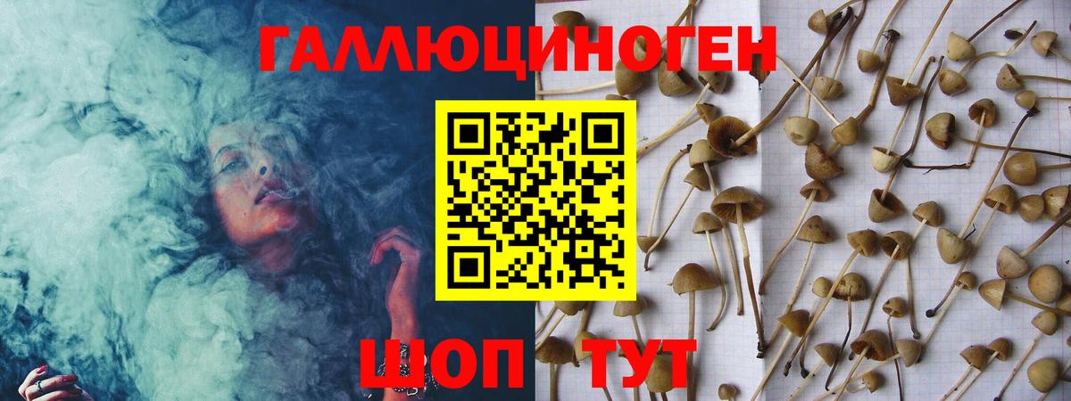 Галлюциногенные грибы Psilocybine cubensis  Вход с VPN  Черкесск 